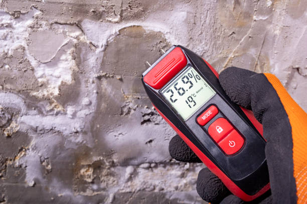Best HVAC Mold Remediation in St Elmo, IL
